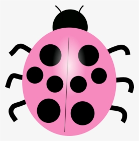 Ladybug - On - Pink - Flower - Pink Lady Bug Png, Transparent Png, Transparent PNG