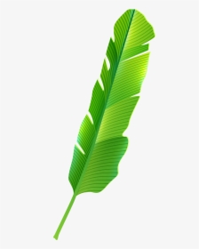 Tropical Leaf Png Clip Art - Banana Leaf Png Clipart, Transparent Png, Transparent PNG