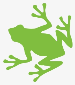 Green Frog Retina Graphic - Sea Turtle Emoji Copy And Paste, HD Png Download, Transparent PNG