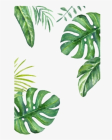 Turtle Leaf Painted Wallpaper Hand Bamboo Banana Clipart - Leaves Jungle Drawing, HD Png Download, Transparent PNG