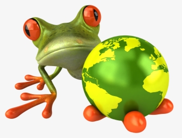 Frog Png - Orange Green Frog, Transparent Png, Transparent PNG