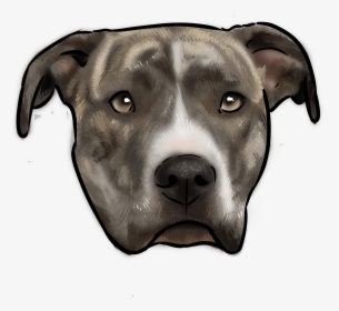 American Staffordshire Terrier, HD Png Download, Transparent PNG