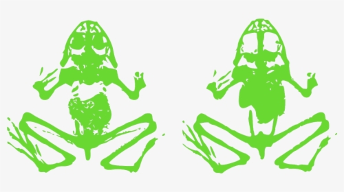 Dead Frog Clip Art, HD Png Download, Transparent PNG