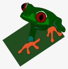 Green, Frog, Red, Eye, Feet, Eyed, Sticky, Eyes - Green Dart Frog Clipart, HD Png Download, Transparent PNG