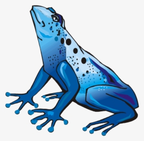 Green Frog Clipart Rain Clipart - Dart Frog Clip Art, HD Png Download, Transparent PNG