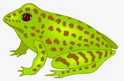 Free Frog Clipart - Glass Frog Clip Art, HD Png Download, Transparent PNG