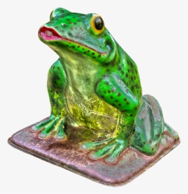 Frog Green Figure Free Picture - Green-eyed Tree Frog, HD Png Download, Transparent PNG