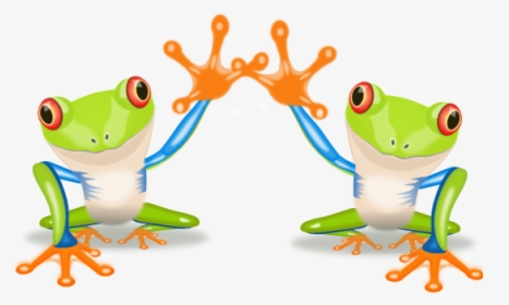 Frog Sonny 555px - Clipart Costa Rica Png, Transparent Png, Transparent PNG