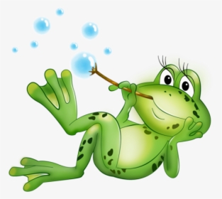 Grenouilles Frog Tube Pinterest - Desenhos De Sapos Engraçados, HD Png Download, Transparent PNG