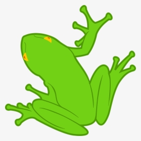 Frog Svg Clip Arts - Rana Dibujo, HD Png Download, Transparent PNG