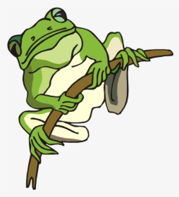 Green Frog Clipart Spotted Frog - Tree Frog Coloring Page, HD Png Download, Transparent PNG