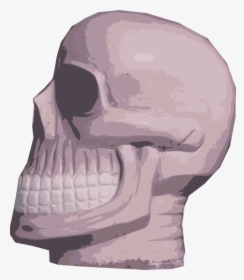 Head,skeleton,skull - Skull, HD Png Download, Transparent PNG
