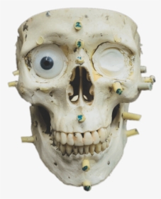Zoomed In Skull - Forensic Science, HD Png Download, Transparent PNG