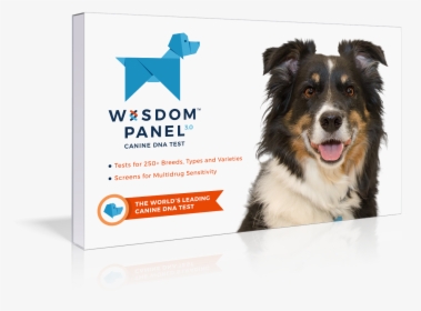 Dog Dna Test Kit, HD Png Download, Transparent PNG