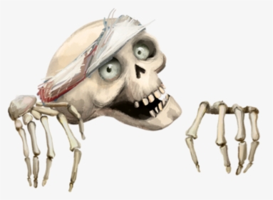 Skeleton Skull Hands Halloween Freetoedit - Skull, HD Png Download, Transparent PNG