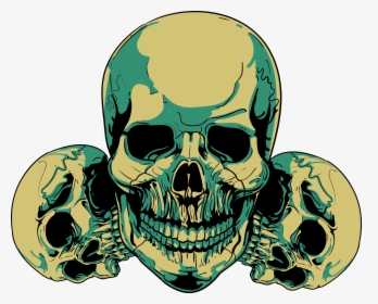 Skull Clip Art - Human Skull In Half, HD Png Download, Transparent PNG