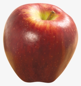 Red Apple Png Free Download - Apple Image High Resolution Png, Transparent Png, Transparent PNG
