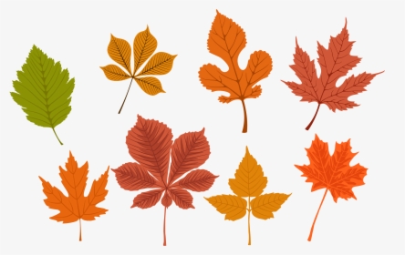 Autumn Leaves Free Use, HD Png Download, Transparent PNG