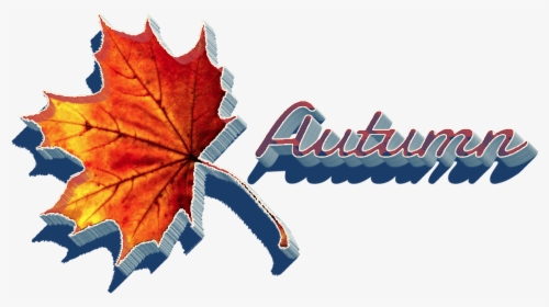 Autumn Leaves Png Clipart - Autumn, Transparent Png, Transparent PNG
