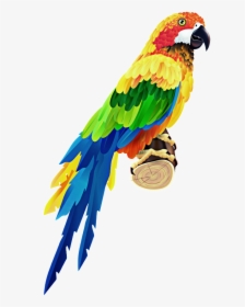 #guacamaya - Colorful Parrot, HD Png Download, Transparent PNG