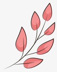 Lady Tulip, HD Png Download, Transparent PNG