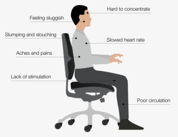 Transparent Man Sitting In Chair Png - Good Sitting Posture, Png Download, Transparent PNG