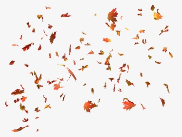 Autumn Color Leaves Leaf Maple Free Hd Image Clipart - Png Leaves Fall Gif, Transparent Png, Transparent PNG
