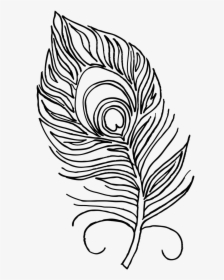 Unique Turkey Feathers Coloring Pages Drawing At Getdrawings - Peacock Feather For Colouring, HD Png Download, Transparent PNG