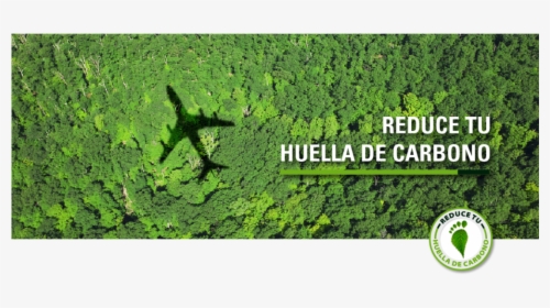 Transparent Guacamaya Png - Carbon Offset Flight, Png Download, Transparent PNG