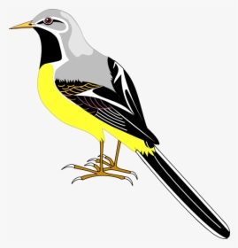 Bird 23 Png Clip Arts - Cartoon Sparrows Clipart, Transparent Png, Transparent PNG