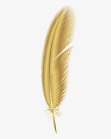 Feather Clipart Png - Gold Feather Png, Transparent Png, Transparent PNG
