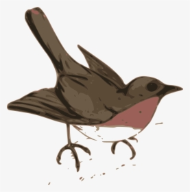 Bird Illustration Png Clip Arts - Maya Bird Clip Art, Transparent Png, Transparent PNG