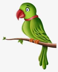 Little Known Facts About Parrots Png All - Parrot Png, Transparent Png, Transparent PNG