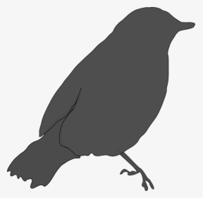 Gray Bird Svg Clip Arts - Birds Got Their Colours Story, HD Png Download, Transparent PNG