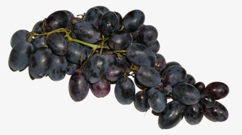 Grapes, Blue, Fruit, Fruits, Eat, Food, Delicious, - Grapes Fruits Png, Transparent Png, Transparent PNG