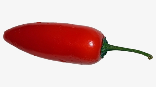 Red,chili Pepper,bell Peppers And Chili Peppers,piquillo - Red Jalapeno Png, Transparent Png, Transparent PNG