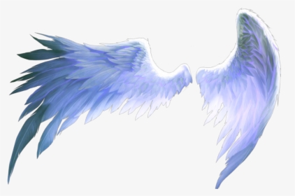 #wings #of #freedom #angel #birds #blue #aesthetics - Transparent Anime Wings Png, Png Download, Transparent PNG