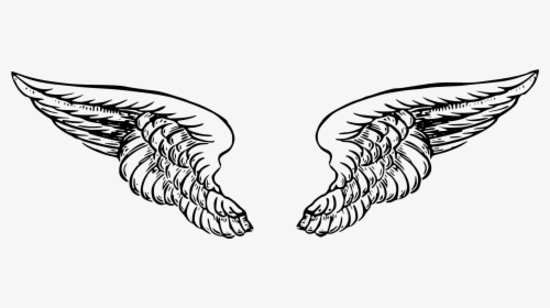 Onlinelabels Clip Art - Angel Wings Vector Png, Transparent Png, Transparent PNG
