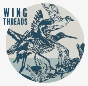 Wing Threads - Wings Threads Flight Around Oz, HD Png Download, Transparent PNG