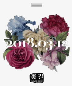Flower Road Big Bang Lyrics, HD Png Download, Transparent PNG