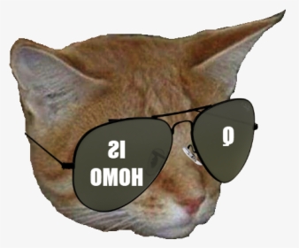 Cat Yawns, HD Png Download, Transparent PNG