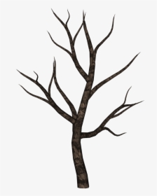 Spooky By Ecathe Art - Creepy Tree Drawing Easy, HD Png Download, Transparent PNG