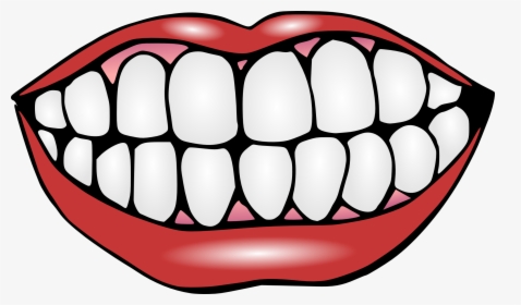 Human Tooth Mouth Lip Clip Art - Teeth Clipart, HD Png Download, Transparent PNG