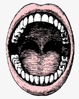 Mouth, Human, Teeth, Open, Tongue, Closeup, Cartoon - Open Mouth Drawing, HD Png Download, Transparent PNG