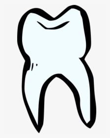 Tooth, Dentist, White, Teeth, Dental, Human - Tooth Drawing Clip Art, HD Png Download, Transparent PNG