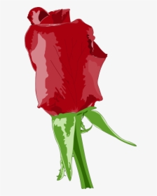Wind Rose Compas Clipart, Vector Clip Art Online, Royalty - Big Size Red Rose, HD Png Download, Transparent PNG