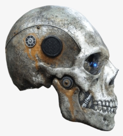 Skull Png Image - Skeleton Head Cb Png, Transparent Png, Transparent PNG
