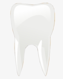 Human Tooth , Png Download, Transparent Png, Transparent PNG