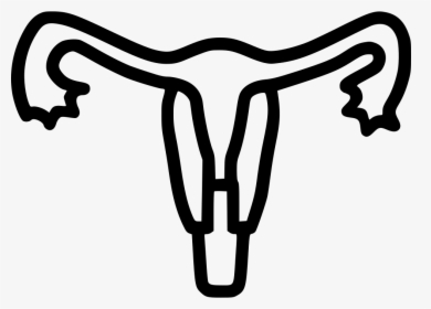 Uterus Human Body Part Medical Tube Uterine - Uterus Clip Art Png, Transparent Png, Transparent PNG