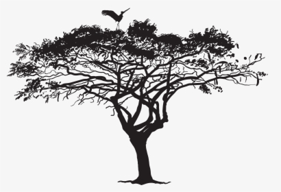 Tree Silhouette Photography - Tree With Bird Silhouette Png, Transparent Png, Transparent PNG
